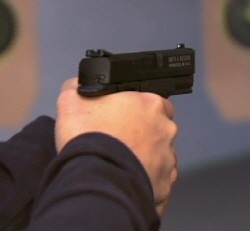 SWMP22sm